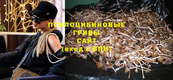ПСИЛОЦИБИНОВЫЕ ГРИБЫ Володарск