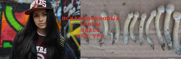 соль ск Волоколамск