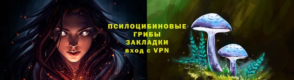 соль ск Волоколамск