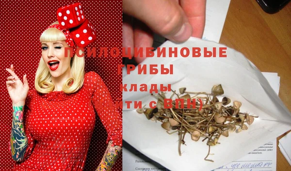 соль ск Волоколамск
