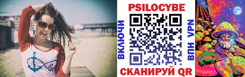 Купить  Венёв  Псилоцибиновые грибы Psilocybine cubensis 